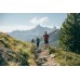 Шорты для походов мужские серые MH100 Quechua